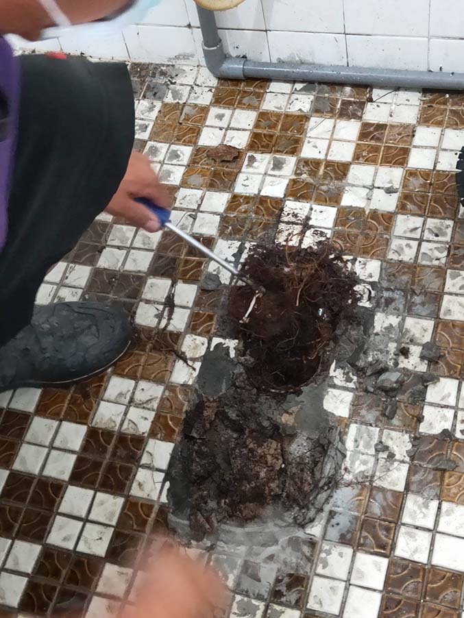 竹山鎮通糞管